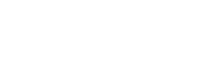 Women's Vote Centennial